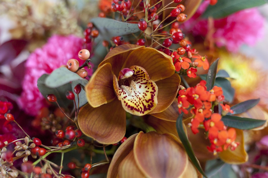 MomentsbyKellyBedrijfsreportageDaysbyStephanie-32