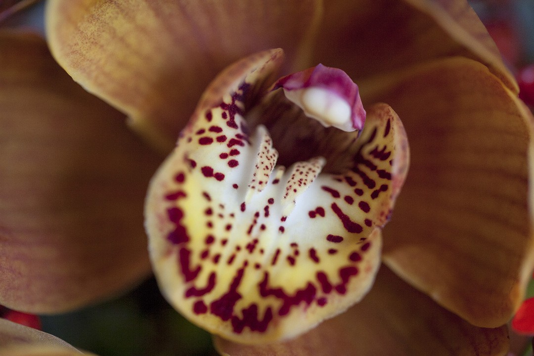 MomentsbyKellyBedrijfsreportageDaysbyStephanie-33