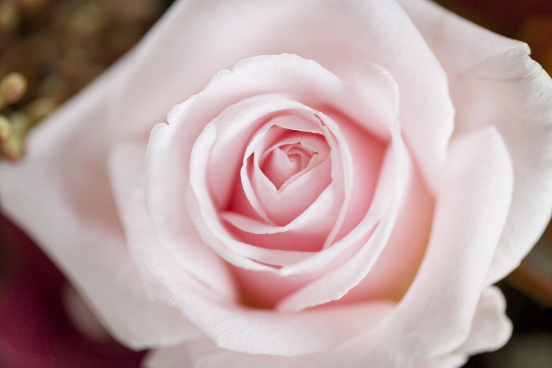 MomentsbyKellyBedrijfsreportageDaysbyStephanie-34